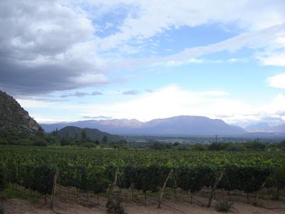 Nord-ouest argentin · Photo : Micah MacAllen — CC BY-SA 2.0 — Wikimedia Commons