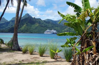 La baie d'Opunohu à Moorea · Photo : Balou46 — CC BY-SA 4.0 — Wikimedia Commons