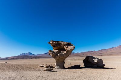 Bolivie · Photo : Diego Delso — CC BY-SA 4.0 — Wikimedia Commons