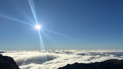 IMG_4736.jpeg