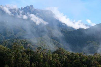 Bornéo · Photo : kallerna — CC BY-SA 4.0 — Wikimedia Commons