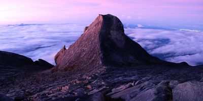 Bornéo : orangs-outans et mont Kinabalu