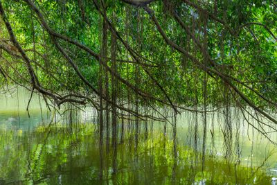 Singapour · Photo : Basile Morin — CC BY-SA 4.0 — Wikimedia Commons