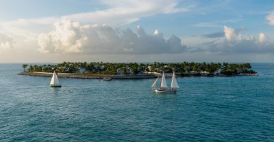 Floride · Photo : Julian Lupyan — CC0 — Wikimedia Commons