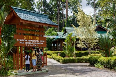 Le centre de Sepilok · Photo : CEphoto, Uwe Aranas — CC BY-SA 3.0 — Wikimedia Commons